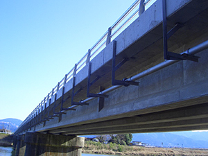 川瀬免田線(川瀬橋)単県橋梁補修工事